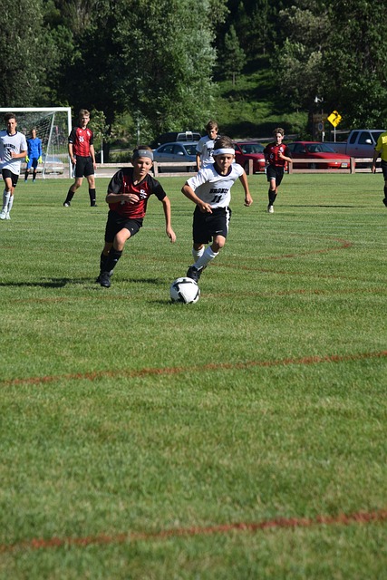 成功在西部 成功在西部