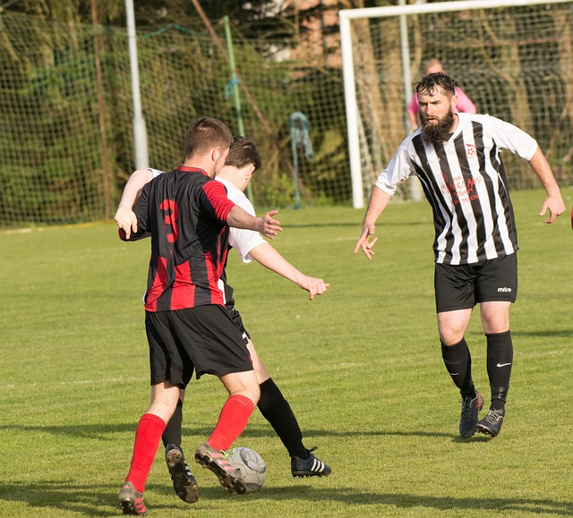 实现了彻底 实现了彻底