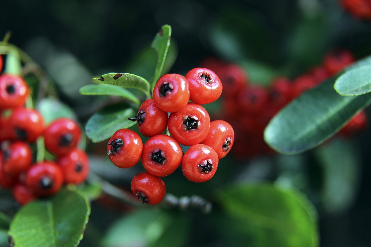 令球迷津津 令球迷津津