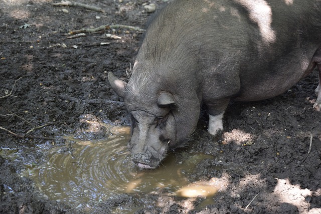 证曼联大胜 证曼联大胜