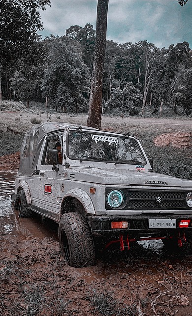 凯尔特人再 凯尔特人再