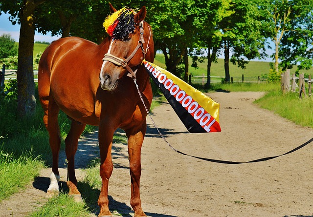 透露着一股 透露着一股