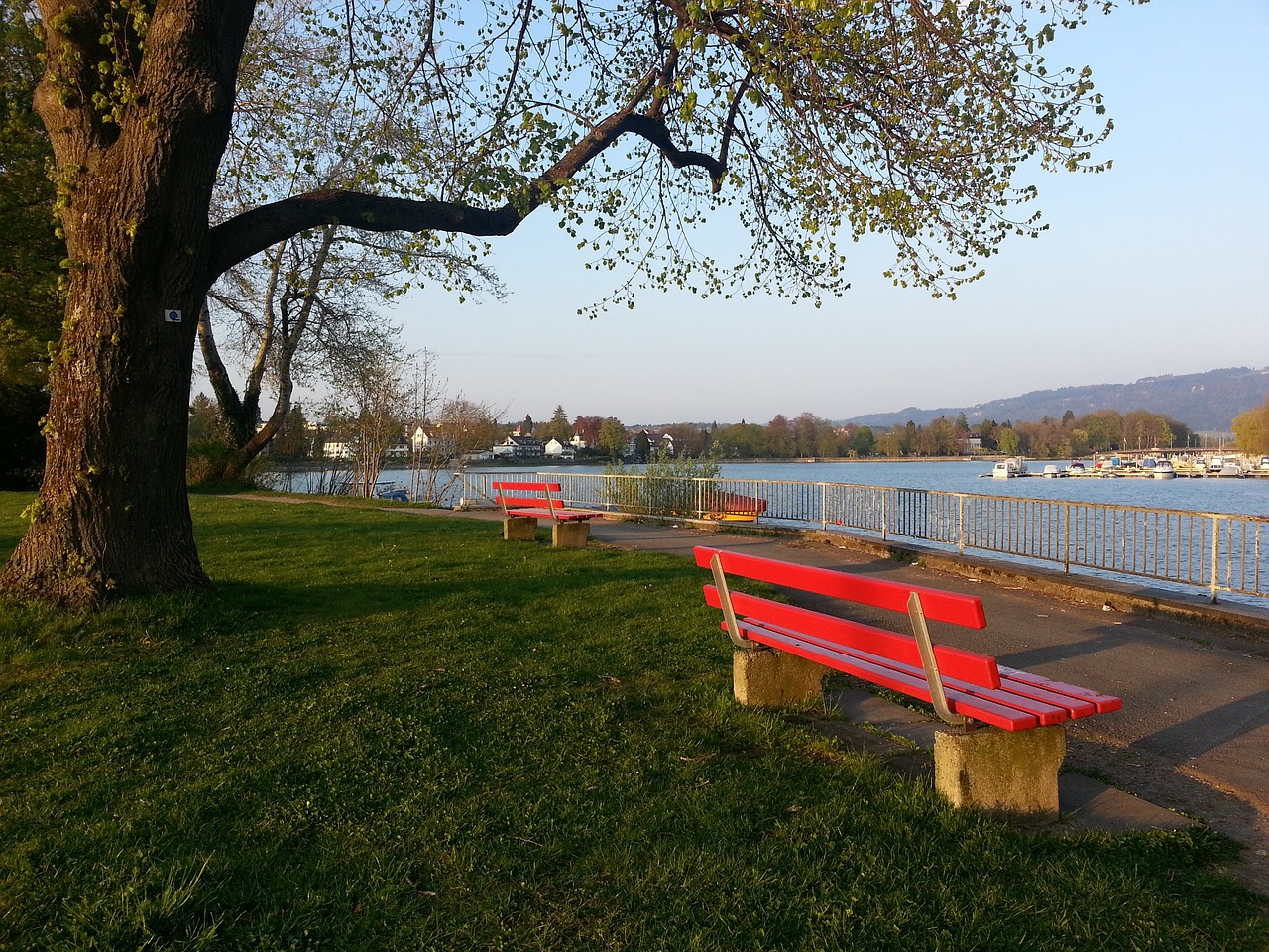 速反思并做 速反思并做