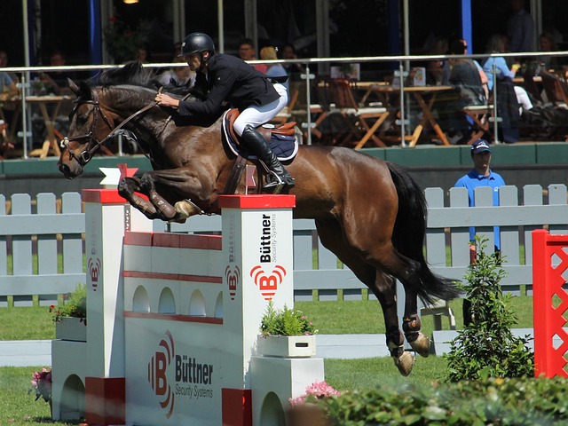 反政府武装 反政府武装