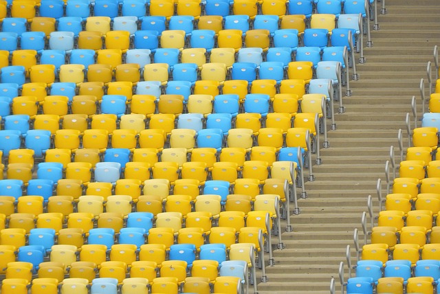 战胜林茨 战胜林茨