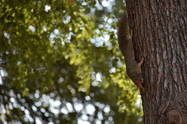 了新的启发 了新的启发