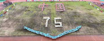 复出后的启 复出后的启